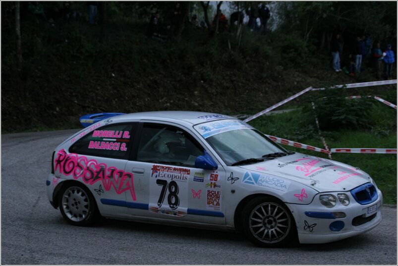 Maremma12 (2461)